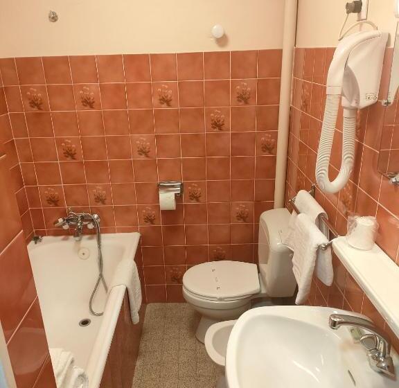 غرفة قياسية ذات إطلالة, Hôtel Chastellares