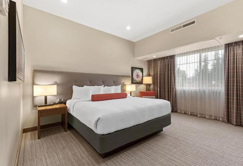 キングサイズベッドのスタンダードルーム, Mountain View Inn & Suites