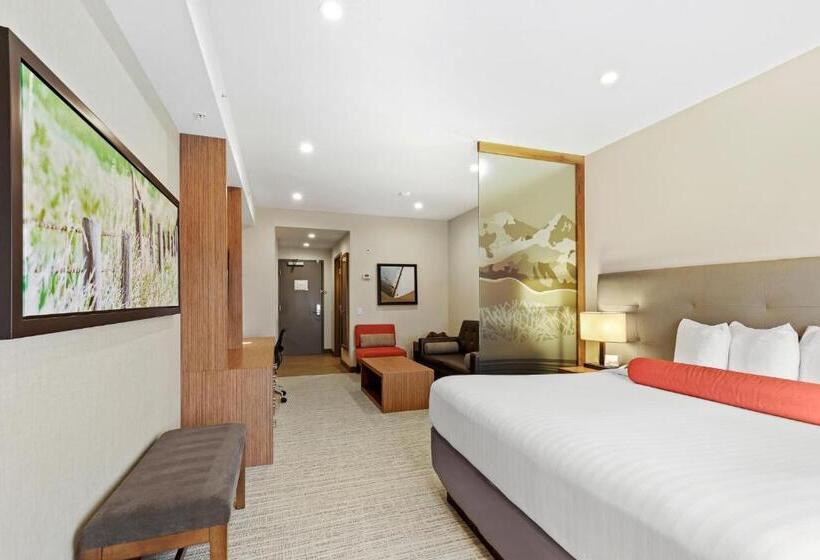 キングサイズベッドのスイートルーム, Mountain View Inn & Suites