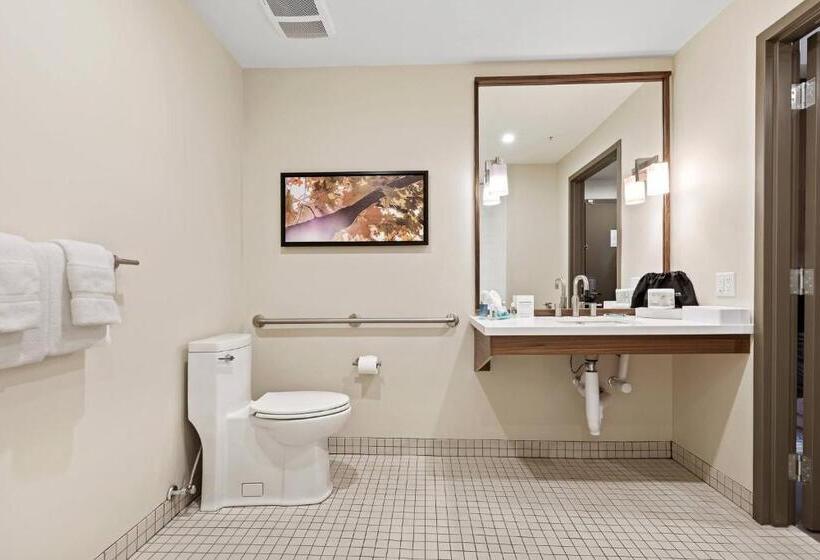 身障者適用キングサイズベッドルーム, Mountain View Inn & Suites