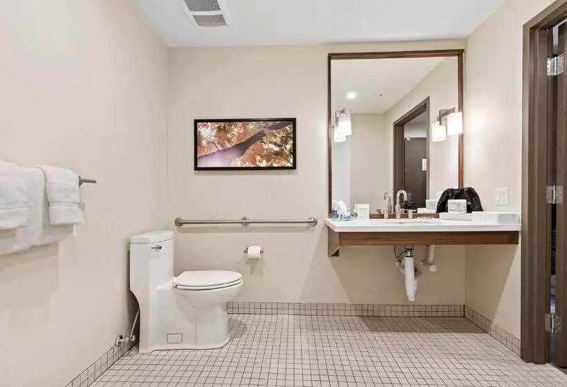 身障者適用キングサイズベッドルーム, Mountain View Inn & Suites