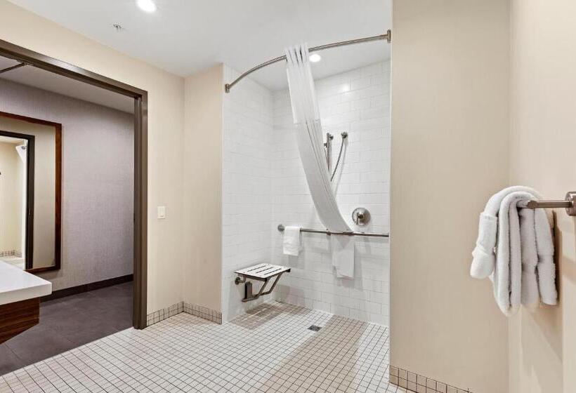 身障者適用キングサイズベッドルーム, Mountain View Inn & Suites