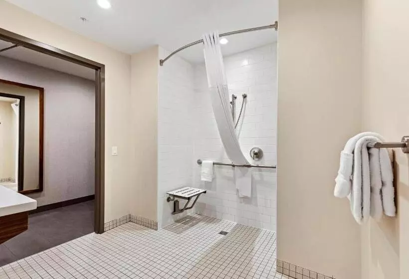 身障者適用キングサイズベッドルーム, Mountain View Inn & Suites