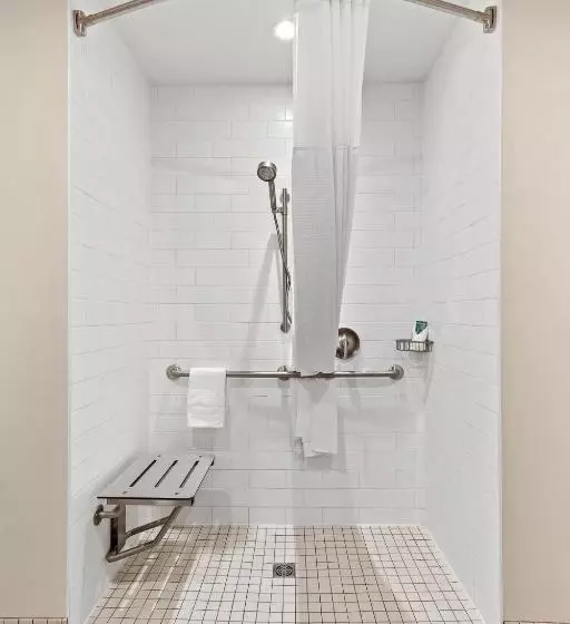 身障者適用キングサイズベッドルーム, Mountain View Inn & Suites