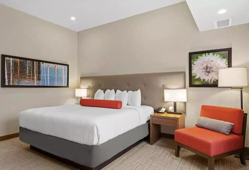 身障者適用キングサイズベッドルーム, Mountain View Inn & Suites