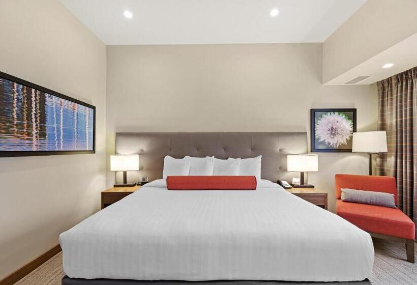 身障者適用キングサイズベッドルーム, Mountain View Inn & Suites