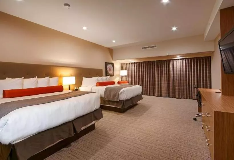 身障者適用スタンダードルーム, Mountain View Inn & Suites
