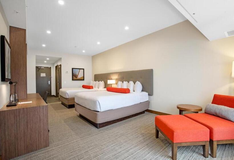 身障者適用スタンダードルーム, Mountain View Inn & Suites