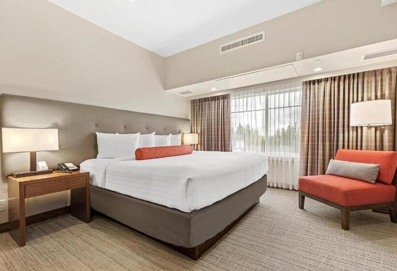 身障者適用スイートルーム, Mountain View Inn & Suites