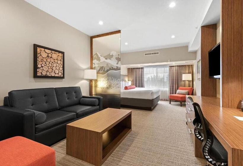 身障者適用スイートルーム, Mountain View Inn & Suites