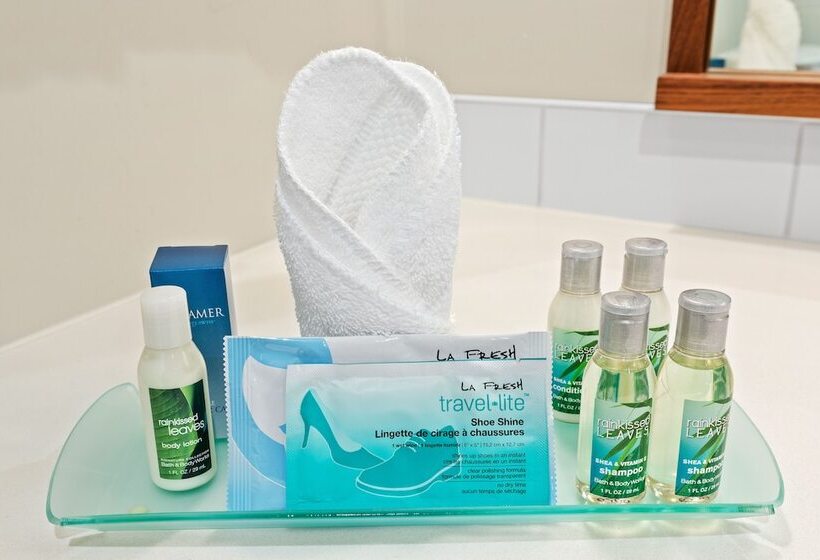 スイート, Mountain View Inn & Suites