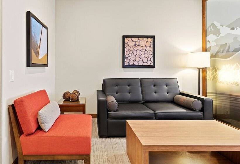 身障者適用スイートルーム, Mountain View Inn & Suites