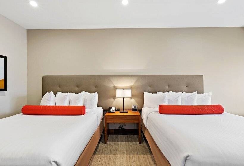 スタンダードルーム, Mountain View Inn & Suites