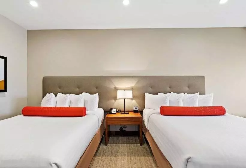 スタンダードルーム, Mountain View Inn & Suites