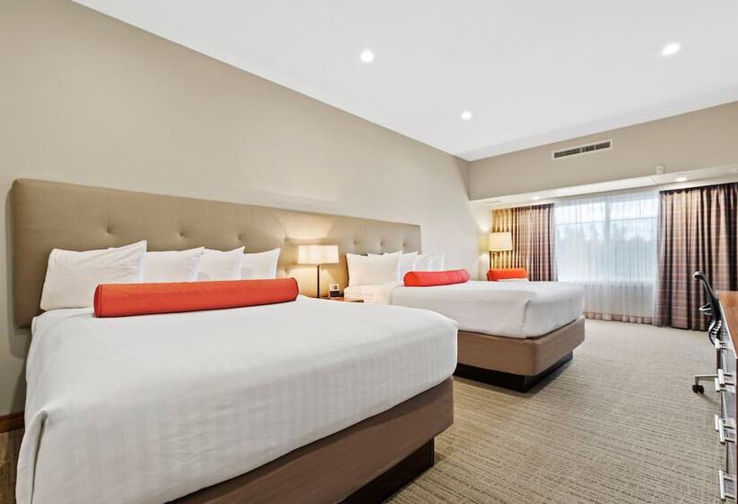 スタンダードルーム, Mountain View Inn & Suites