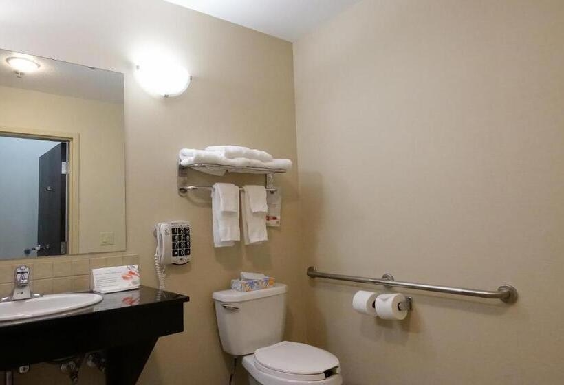 身障者適用キングサイズベッドルーム, Ramada By Wyndham Weyburn