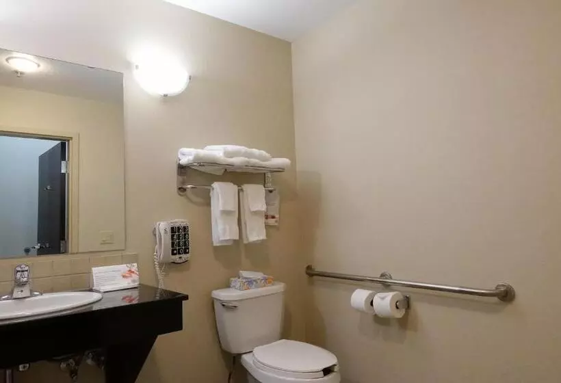 身障者適用キングサイズベッドルーム, Ramada By Wyndham Weyburn