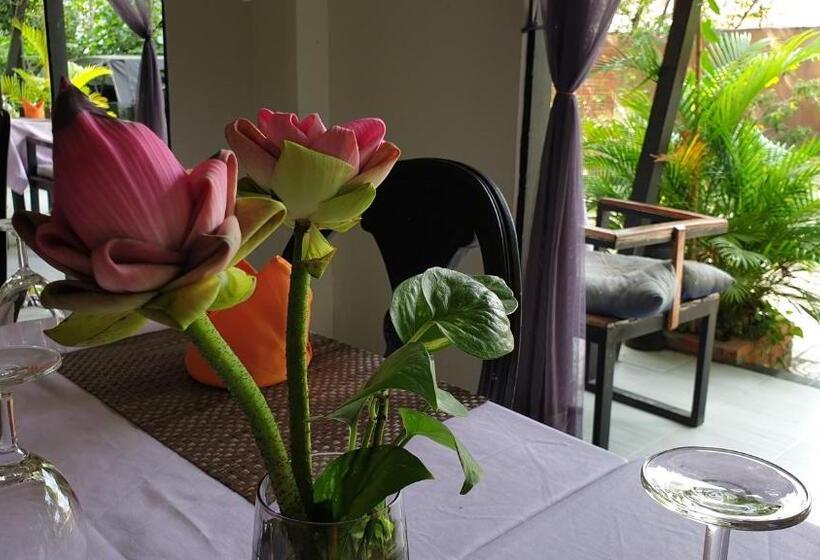 デラックスルーム, The Sanctuary Villa Battambang