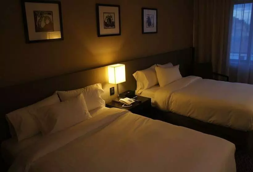２ダブルベッドのスタンダードルーム, Hilton Garden Inn Tucuman