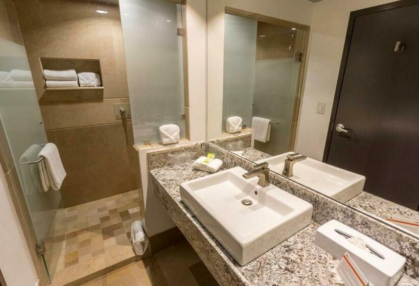 اتاق استاندارد با 2 تخت دوبل, Holiday Inn Queretaro Zona Krystal, An Ihg
