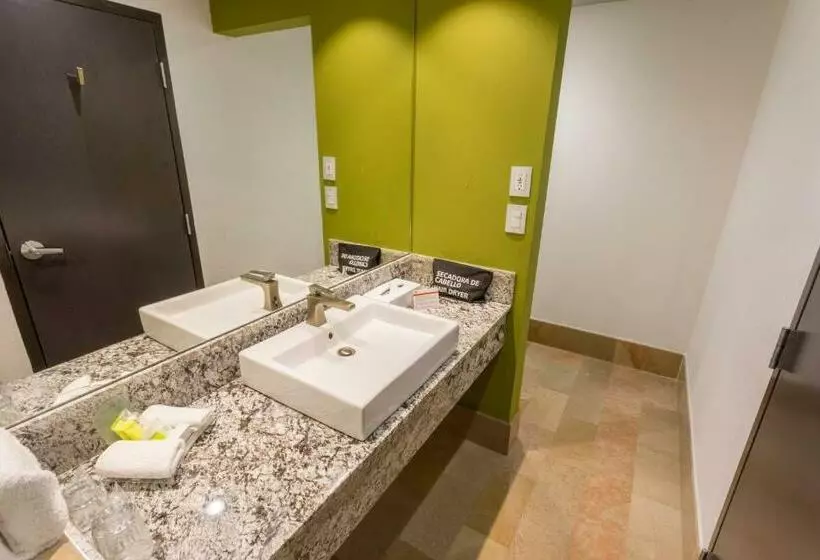 Standard-huone 2 Parivuodetta, Holiday Inn Queretaro Zona Krystal, An Ihg