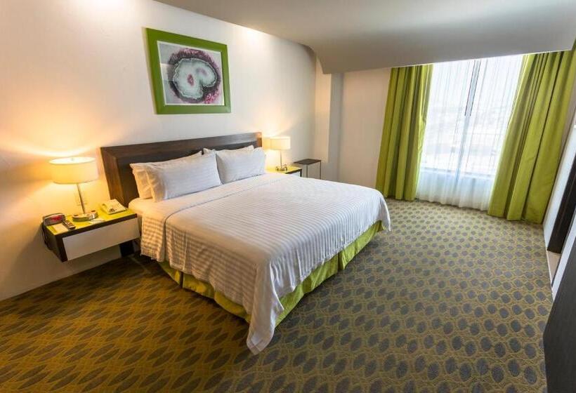 اتاق استاندارد با تخت بزرگ, Holiday Inn Queretaro Zona Krystal, An Ihg
