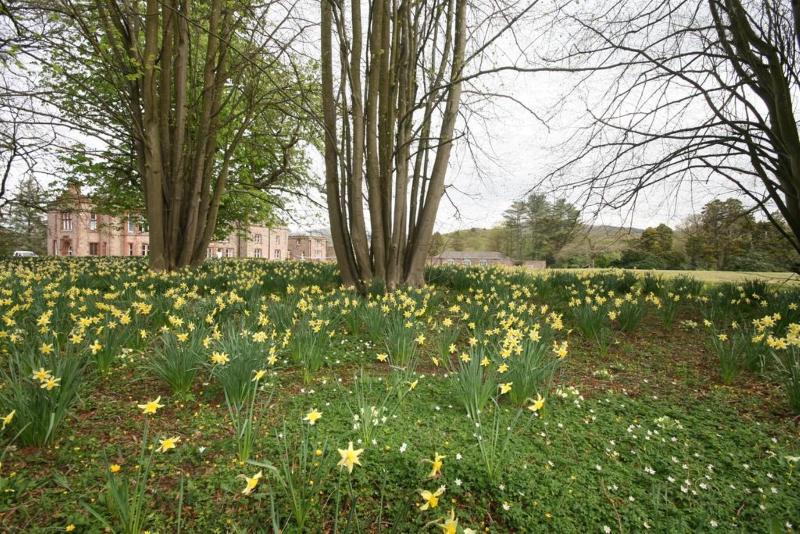 Cameră Executivă, Irton Hall