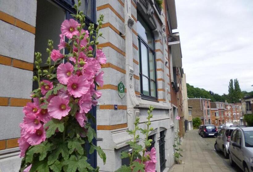 اتاق اکونومی, B&b Matin Tranquille