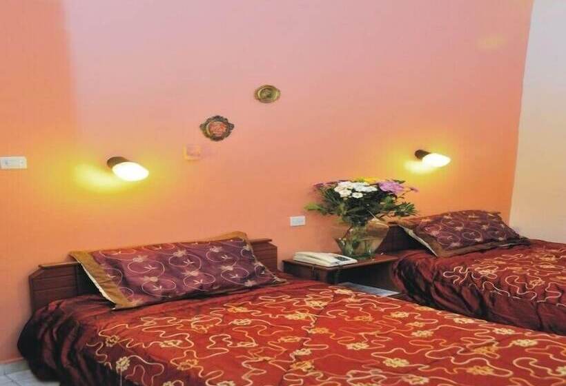 غرفة قياسية فردية, Alexandria