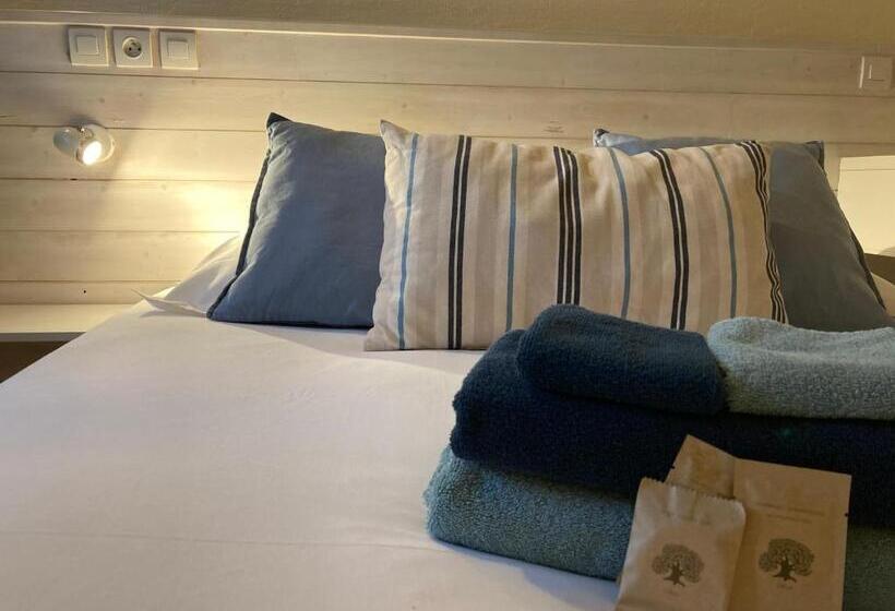 エコノミールーム, Residence Thibaud