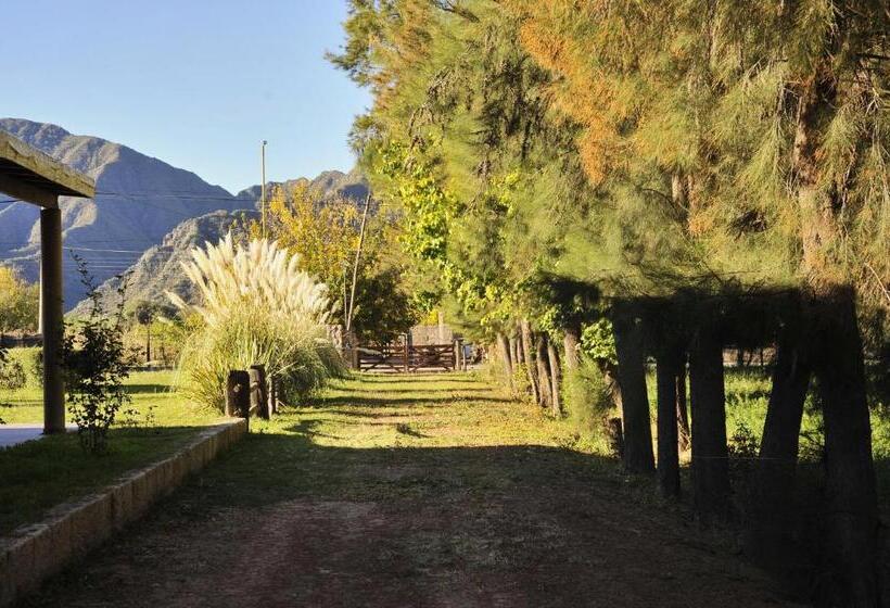 디럭스 패밀리 룸, Hostal Lo De Ramona