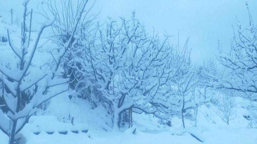 غرفة ديلوكس رباعية, Jomotel Talai