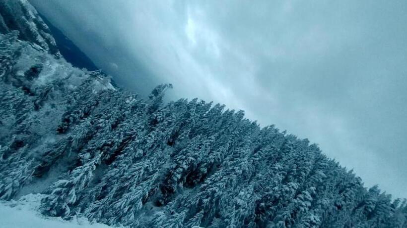 غرفة ديلوكس رباعية, Jomotel Talai