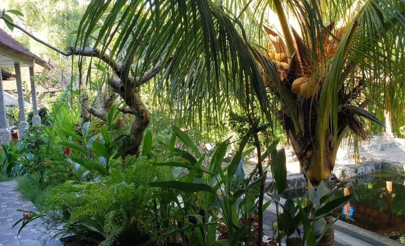 חדר סטנדרט נוף לגינה, Citronella Home Stay