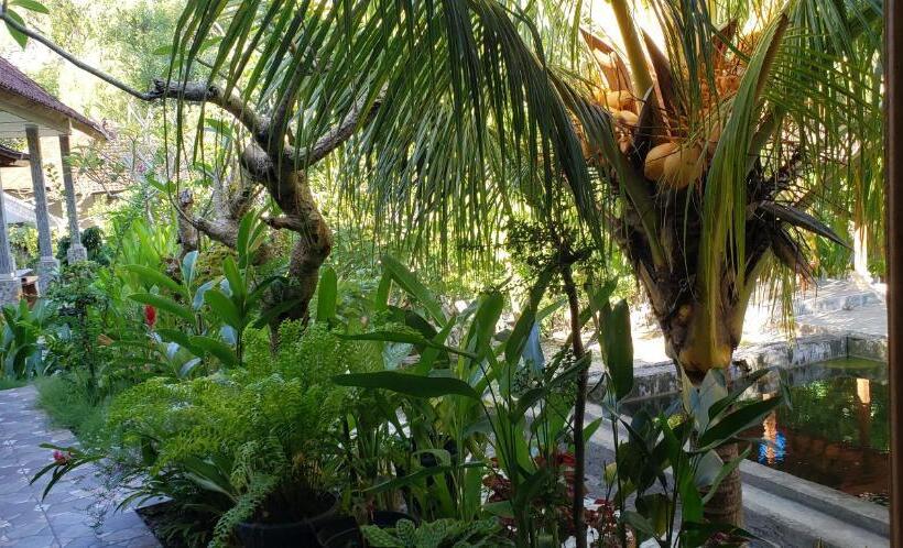 חדר סטנדרט נוף לגינה, Citronella Home Stay