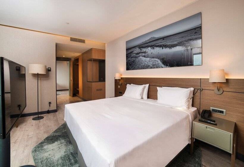 جناح جونيور مطل على الجبل, Radisson Blu Hotel, Mount Erciyes