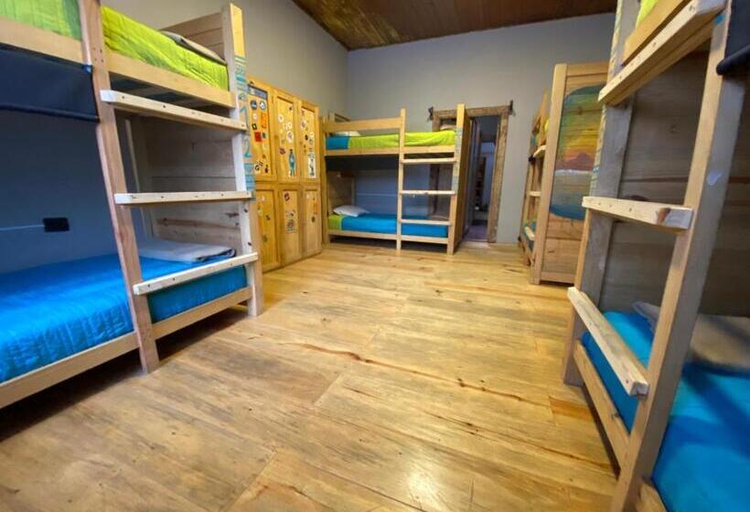 تختخواب در اتاق مشترک, The Coffee Bean Hostel