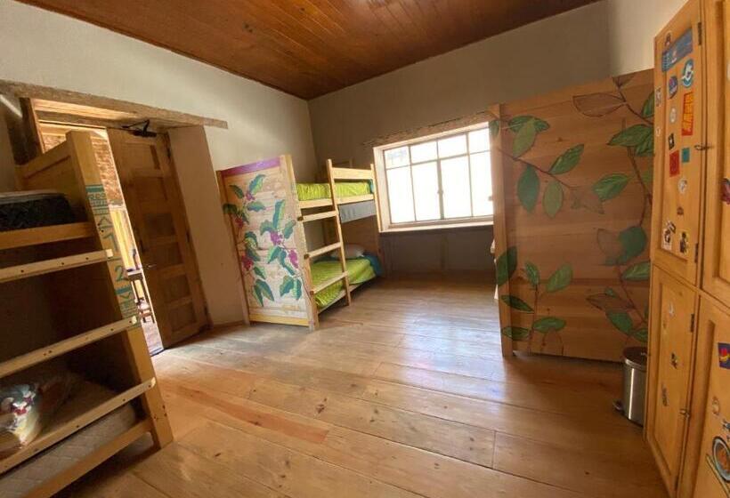 تختخواب در اتاق مشترک, The Coffee Bean Hostel