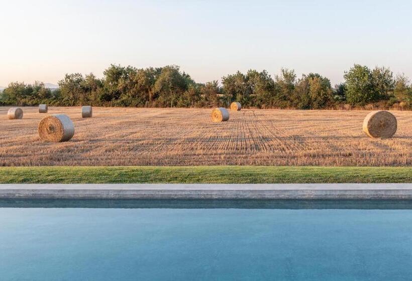 带露台的小型套房, Can Casi House