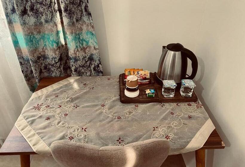 غرفة قياسية, Aysultan Stone House