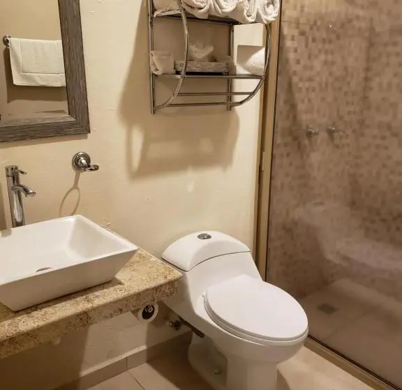スタンダードルーム, Carasol Villas Y Suites Privadas