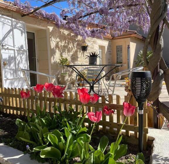 استودیو استاندارد با چشم‌انداز استخر, Le Mazet En été   Studio En Garrigue Nimoise