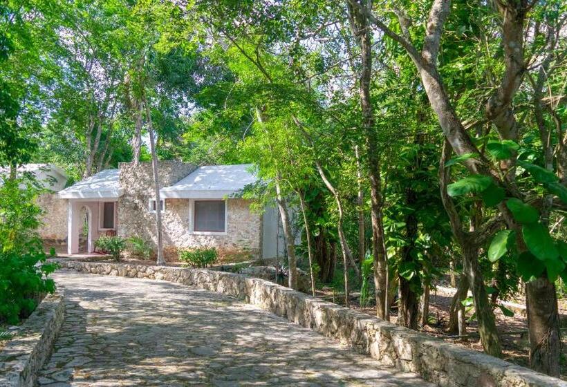 带1个卧室的别墅, Hacienda San Miguel Yucatan