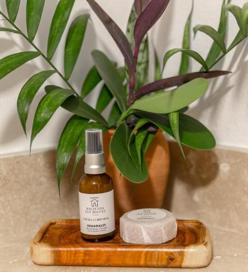 ویلای 1 خوابه, Hacienda San Miguel Yucatan