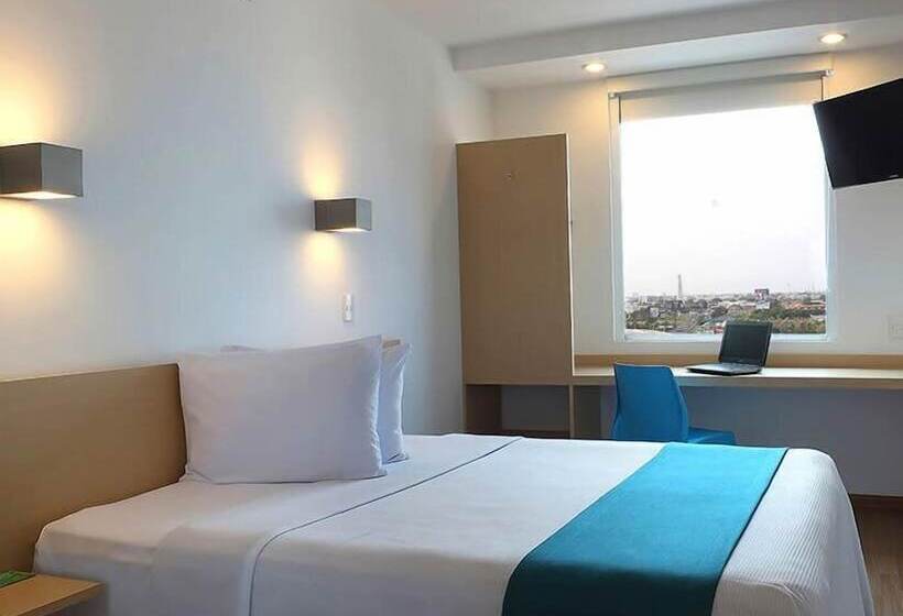 חדר סופריור, One Irapuato