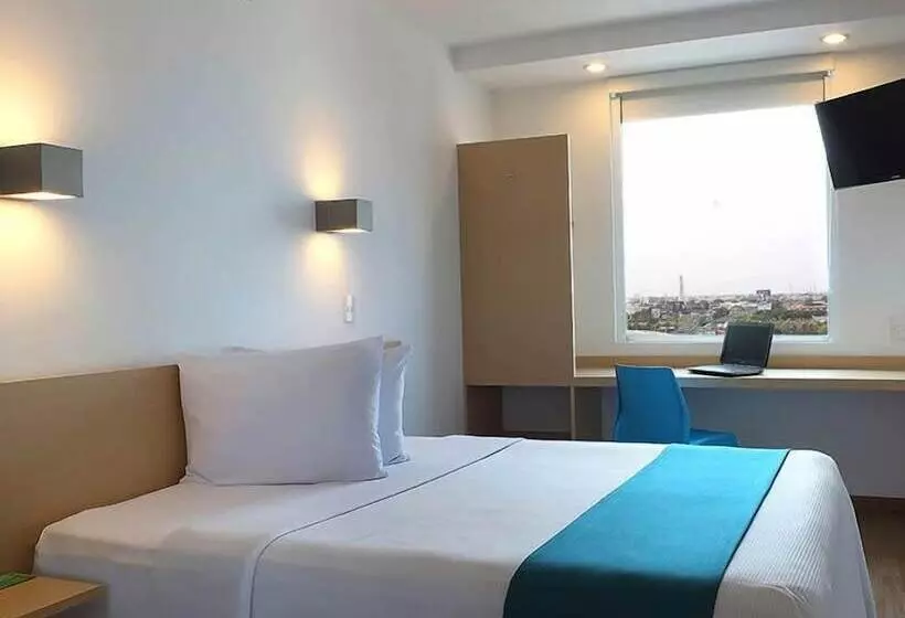 スーペリアールーム, One Irapuato