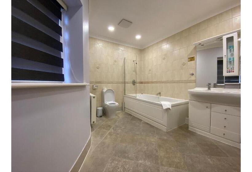 Люкс Повышенной Комфортности, Sk Baylis House