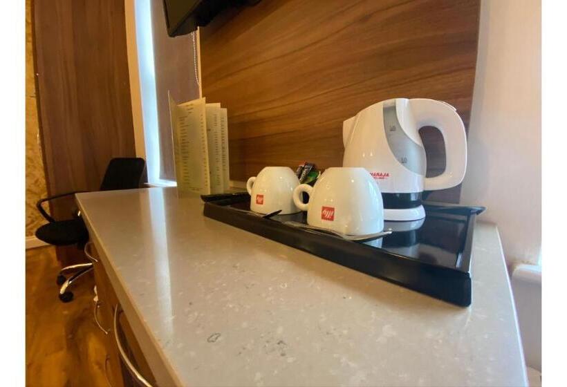 Номер Superior, Sk Baylis House