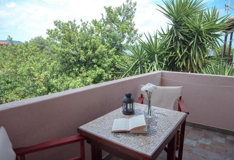 اتاق استاندارد سه نفره, Sossinola