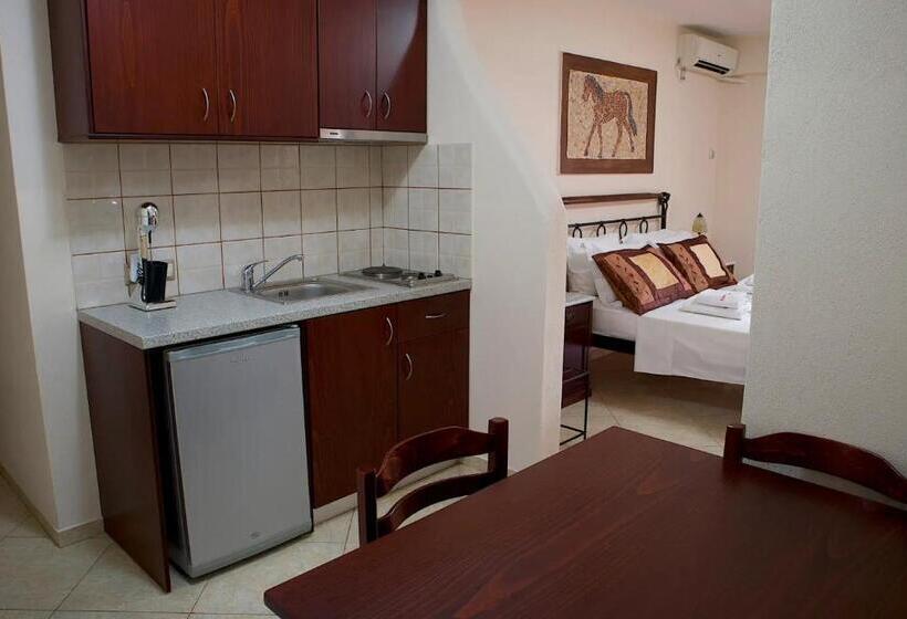 استودیوی استاندارد با چشمانداز دریا, Sossinola